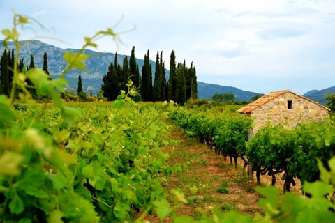 Dubrovnik Countryside: Private Tour to Konavle Valley