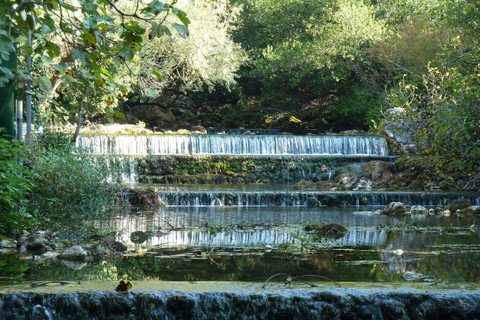 Dubrovnik Countryside: Private Tour to Konavle Valley