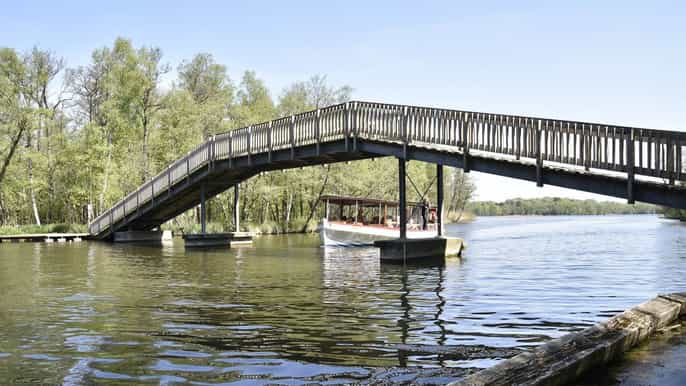 kööpenhamina veneretki lyngbyjärvellä ja millstreamrannalla