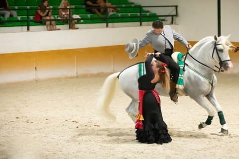 Malaga: Horse Show with Dinner, Drinks & Live Flamenco Show