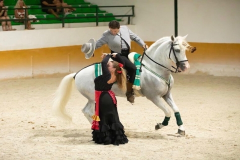 Pokaz flamenco i koni andaluzyjskich