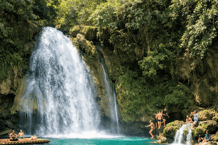 Cebu: Oslob Whale Sharks, Kawasan Fall & Moalboal Sardines Join/Shared Tour Option