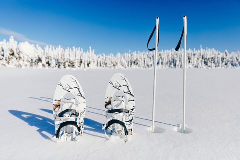 Arctic Gateway: Snowshoeing Expedition in Lapland