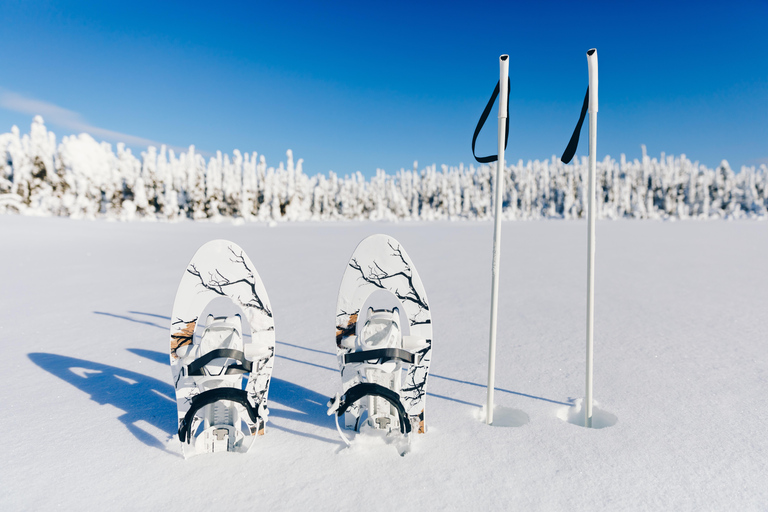 Arctic Gateway: Snowshoeing Expedition in Lapland