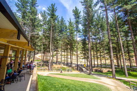 Malownicza przejażdżka wyciągiem krzesełkowym w Christchurch Adventure ParkMalownicza przejażdżka kolejką linową w Christchurch Adventure Park