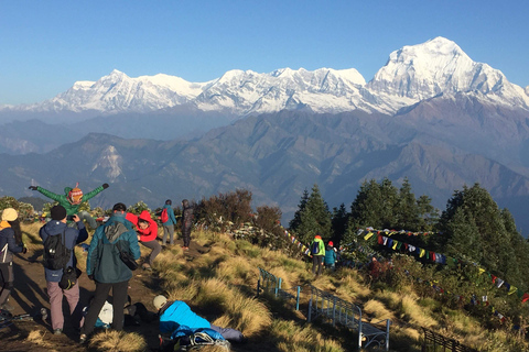 Ghorepani: Wanderung auf dem Poon HillStandard-Option