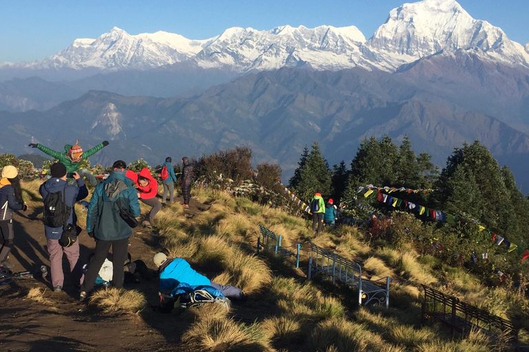 Ghorepani: Wanderung auf dem Poon HillStandard-Option