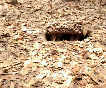 Ho Chi Minh Stad: Cu Chi Tunnels Tour