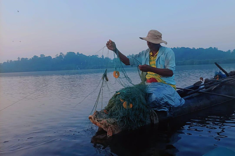 Mirissa: Whale Watching Boat Tour & Kayaking Experience Whale Watching Boat Tour only (With Entry Ticket)