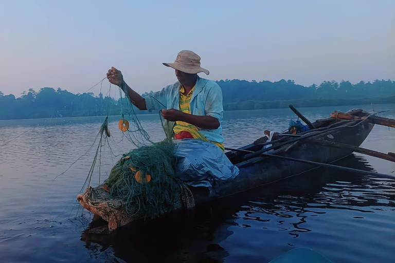Mirissa: Whale Watching Boat Tour & Kayaking Experience Whale Watching Boat Tour only (With Entry Ticket)