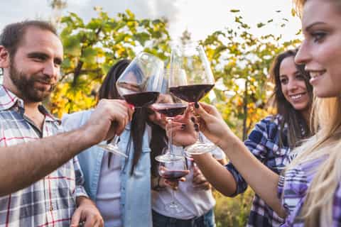 Tour del Chianti Wine Tasting attraverso la Toscana