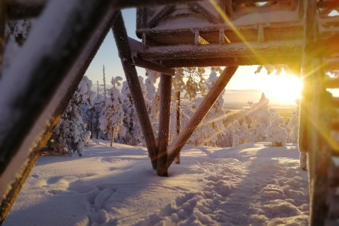 Rovaniemi: Erkundungstour in der Wildnis