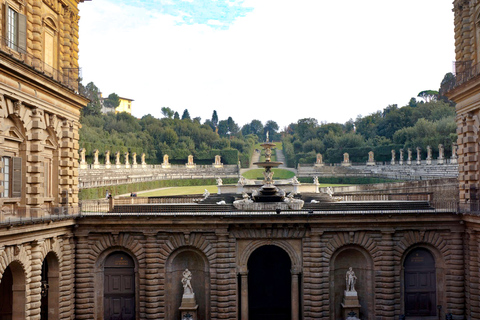 Florence: Pitti Palace Entry Ticket and Guided Walking TourTour in English