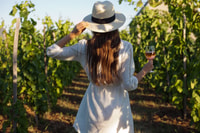 Von Siena/Chianti, Abendessen & Getränke in den Chianti Weinbergen - Hizvo