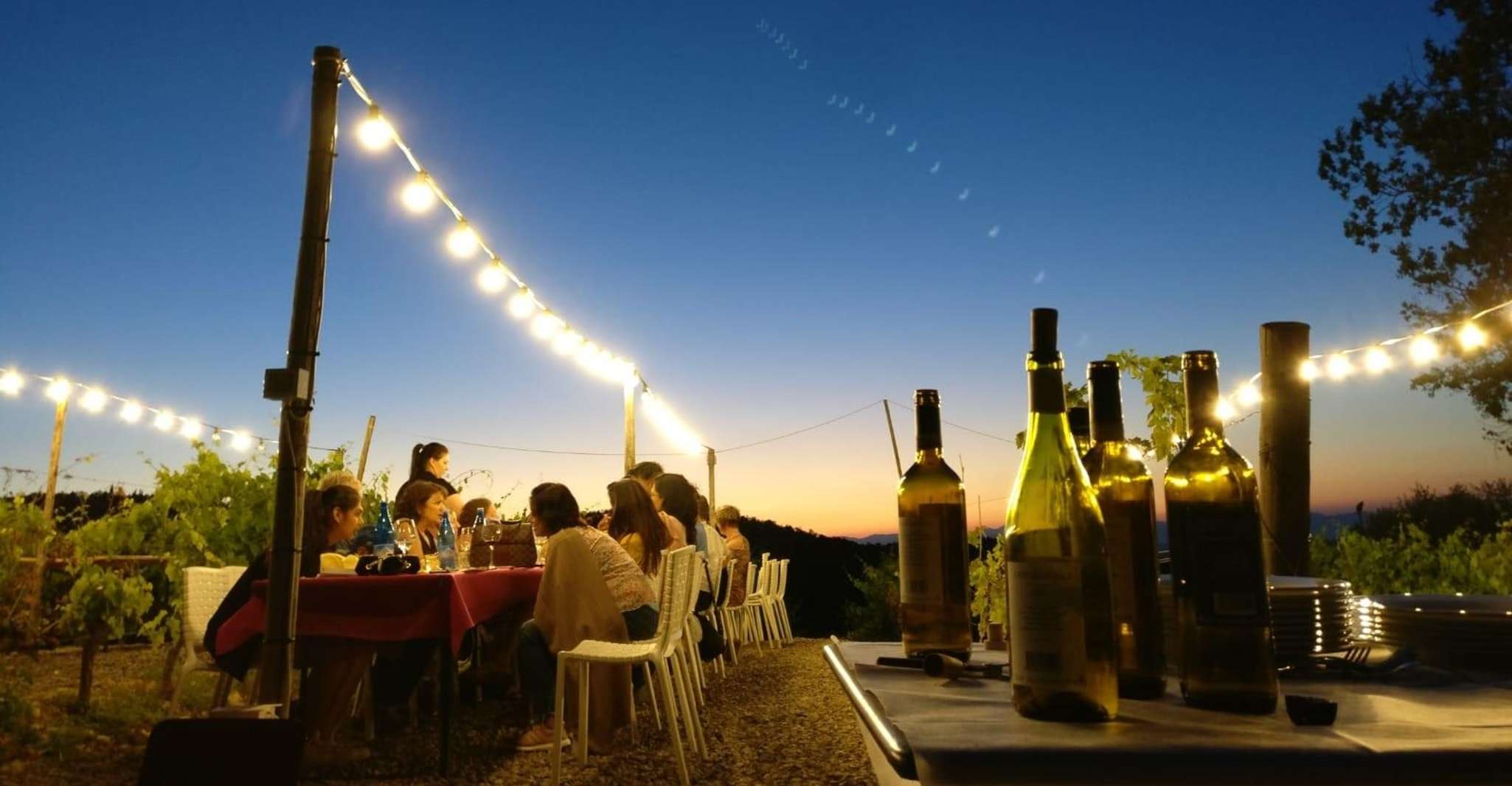 Buranın yakınındaki restoranlar: Siena/Chianti, Dinner & Drinks in the Chianti Vineyards - Hizvo