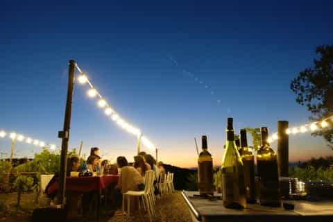 From Siena: Dinner in the Chianti Vineyards