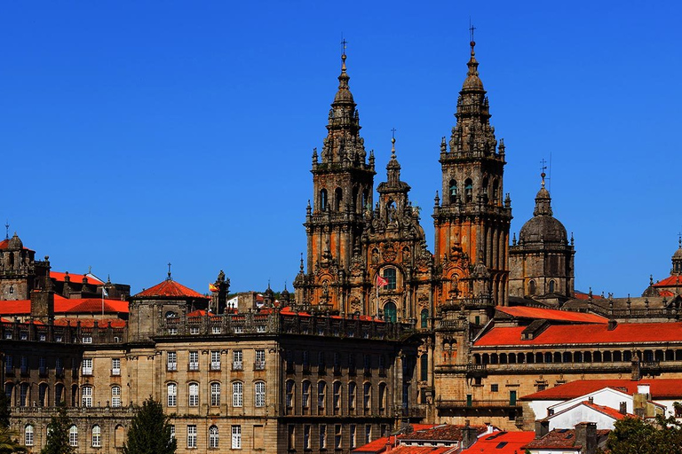 Porto: dagtocht naar Santiago de CompostelaSantiago de Compostela