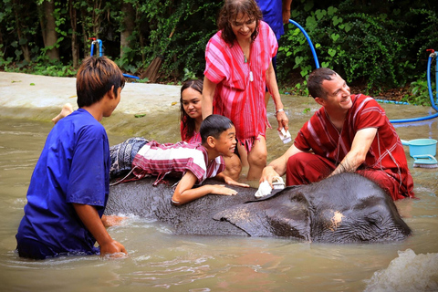 Parc des éléphants de Bangkok : expérience avec les éléphants en HD (sans transfert)HD Bangkok Elephant Care sans transfert