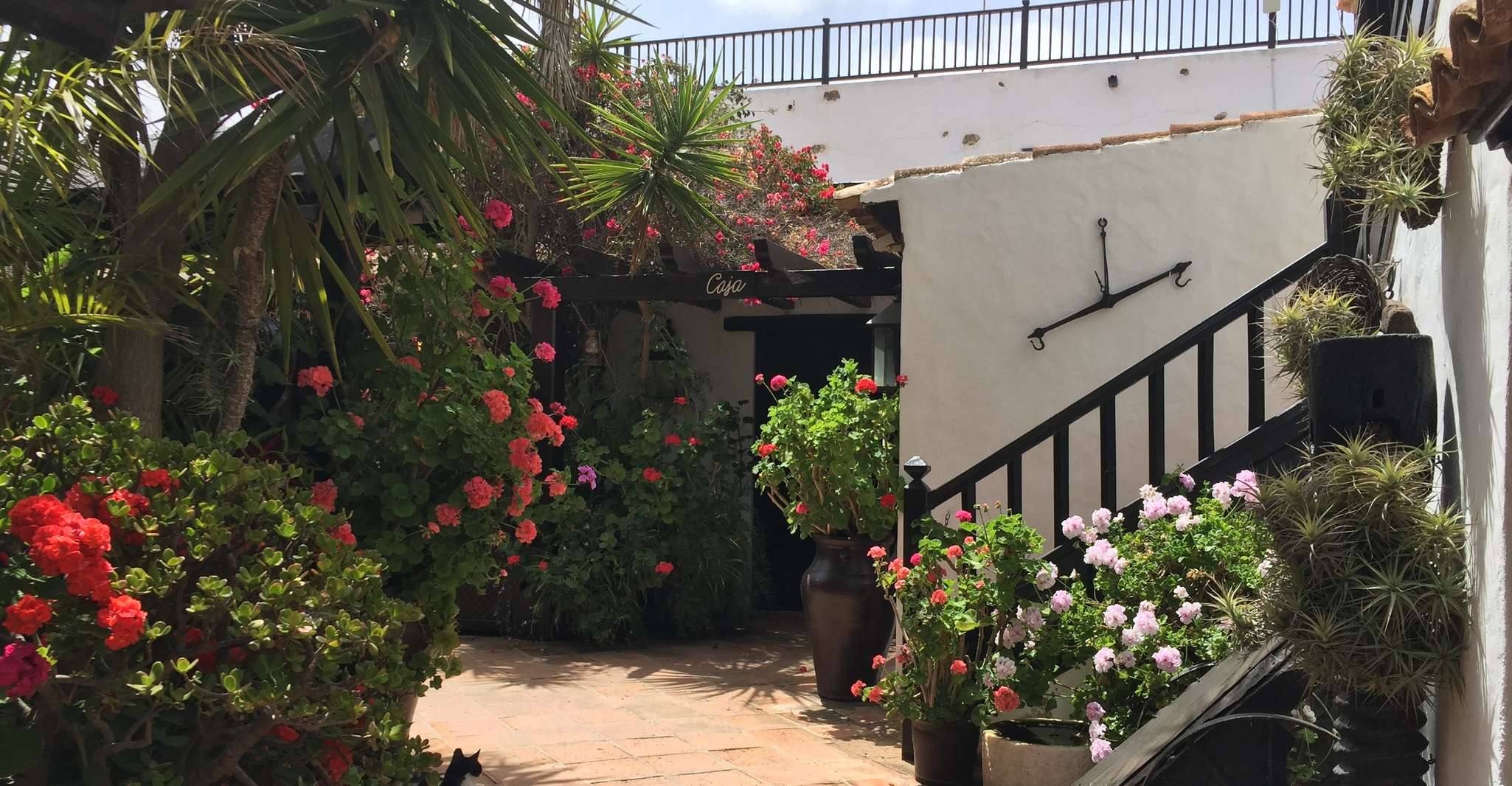 Fuerteventura, Discovery Tour