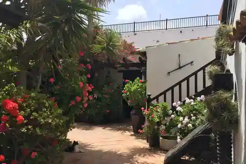 Fuerteventura: Discovery Tour