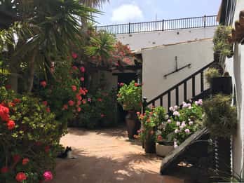 Fuerteventura: Discovery Tour