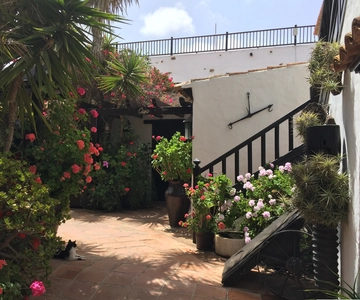 Fuerteventura: Discovery Tour