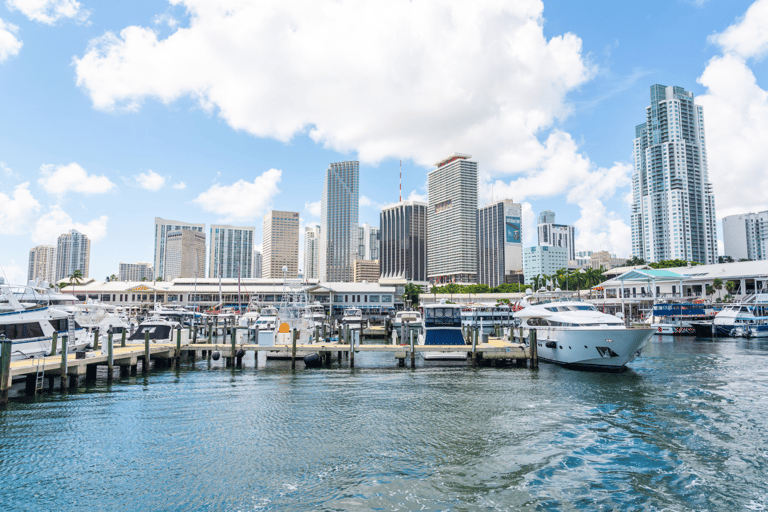 Miami: Crucero panorámico con bar a bordo