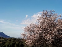 Chania Area, The 7 Villages of Apokoronas Tour with Lunch - Housity