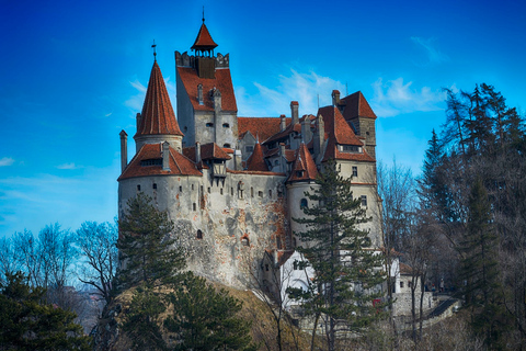 Bran : Visite guidée du château