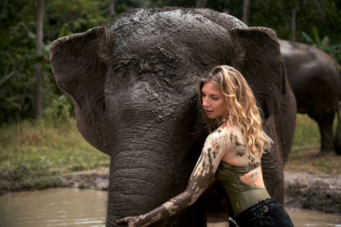 Elephant Care Experience with Mud Bath at Bali ZooElephant care only: Meet at Bali Zoo