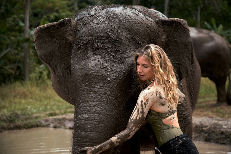 Bali: esperienza con gli elefanti e bagno nel fango allo zooIncontro allo zoo di Bali, attività con gli elefanti