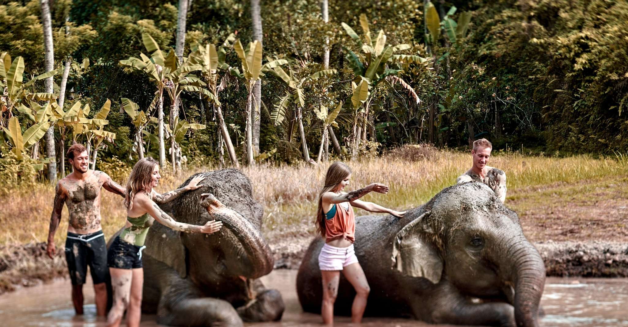 Elephant Care Experience with Mud Bath at Bali Zoo - Housity