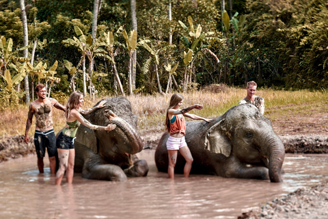 Bali: esperienza con gli elefanti e bagno nel fango allo zooIncontro allo zoo di Bali, attività con gli elefanti