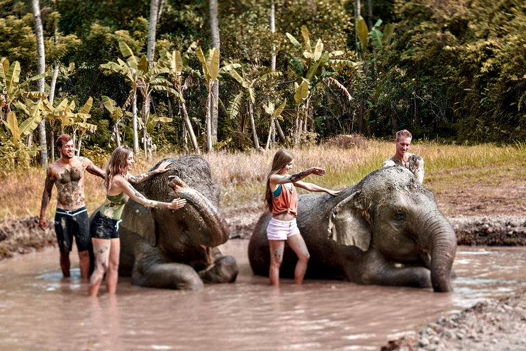 Elephant Care Experience with Mud Bath at Bali ZooElephant care only: Meet at Bali Zoo