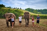 Elephant Care Experience with Mud Bath at Bali Zoo - Housity