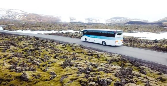 From Reykjavik/Keflavik Airport: 1-Way Blue Lagoon Transfer