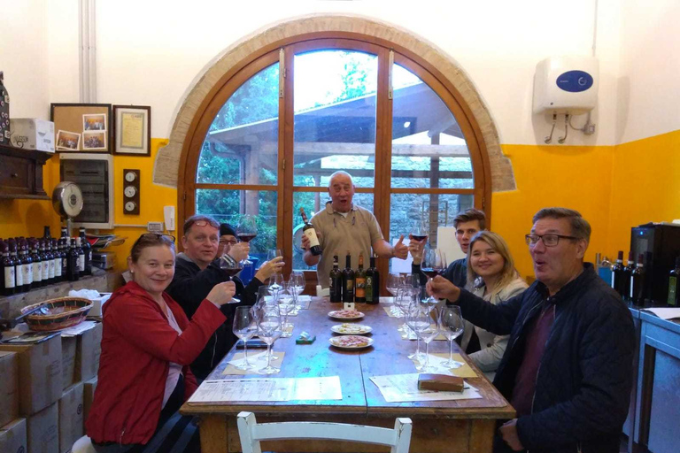 Florence: Chianti Villages, San Gimignano and Winery Tour Private Tour in Italian