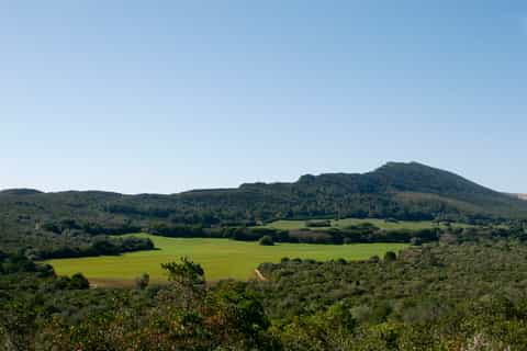 Arrábida: Small-Group Wine Tour with Tastings