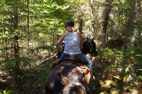 Whistler: Full-Day Horseback Riding Experience