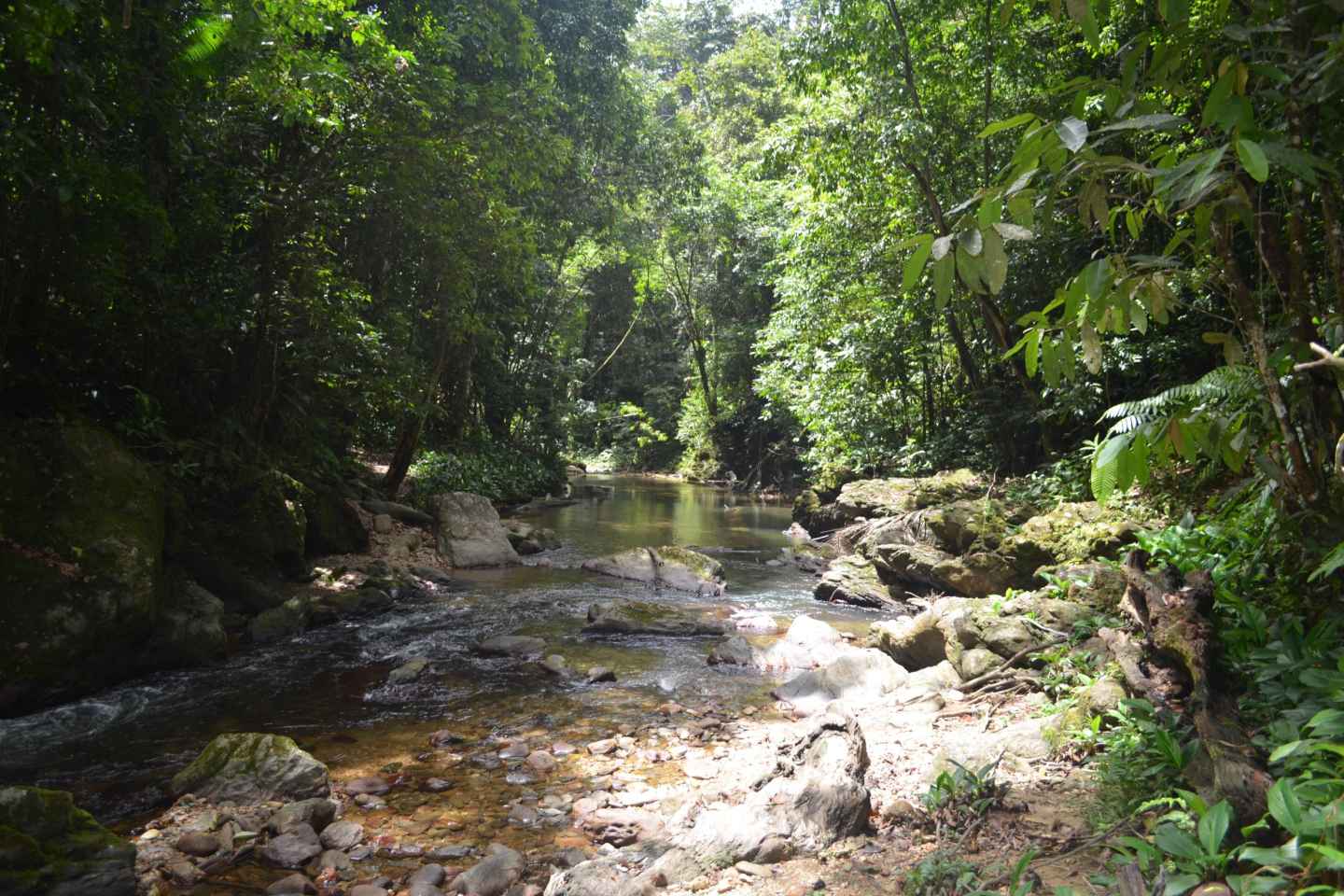 Trinidad & Tobago: Regenwaldwanderung zum Avocat-Wasserfall