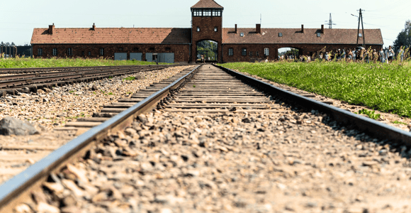Krakow: Auschwitz-Birkenau Guided Tour or Self-Guided Tour