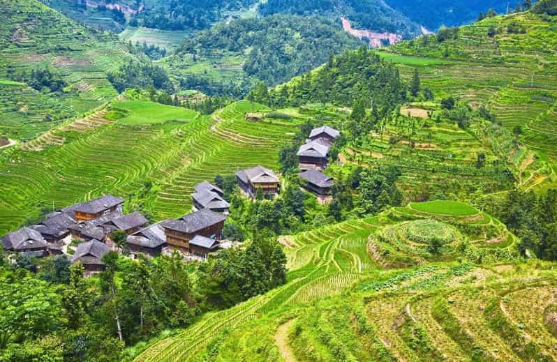 Guilin Private Tour of Dragon's Backbone Rice Terraces | GetYourGuide