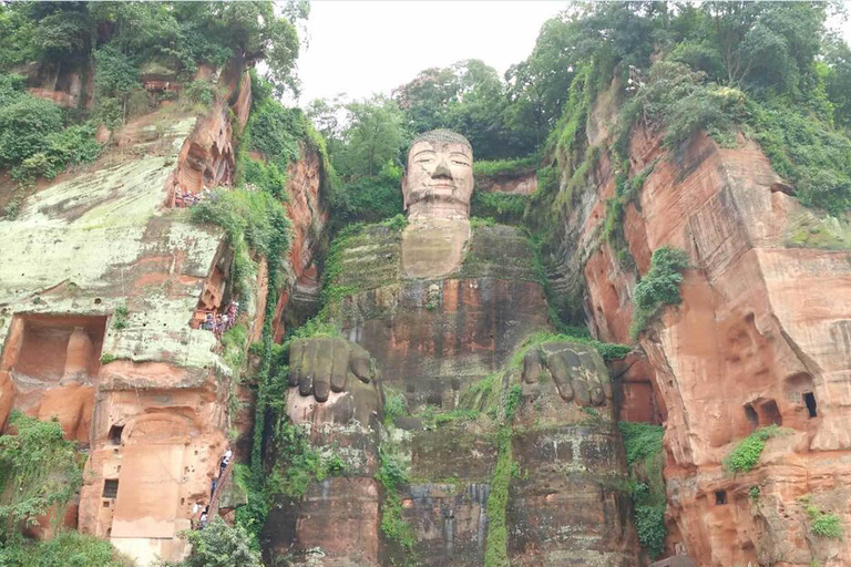 Chengdu Private Tour of Leshan Buddha and Panda Base