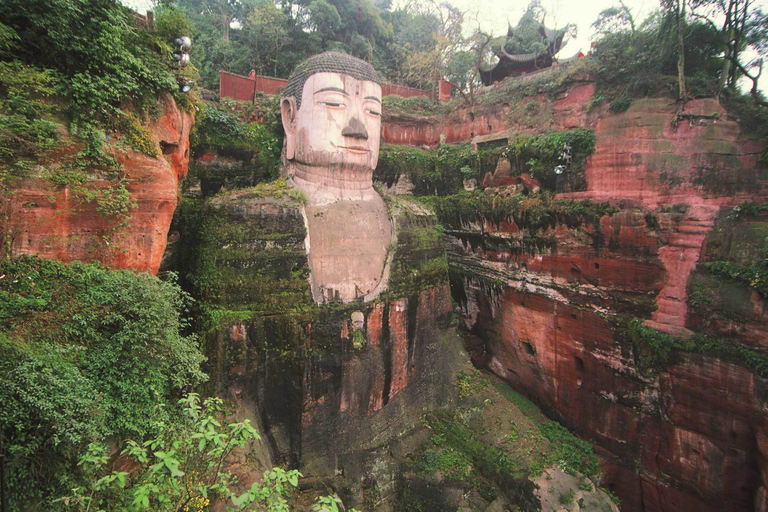 Chengdu Private Tour of Leshan Buddha and Panda Base