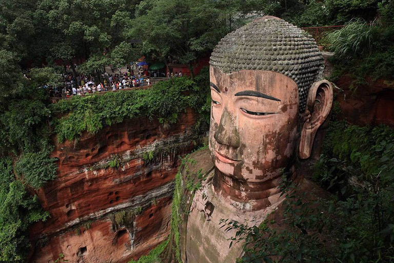 Chengdu Private Tour of Leshan Buddha and Panda Base