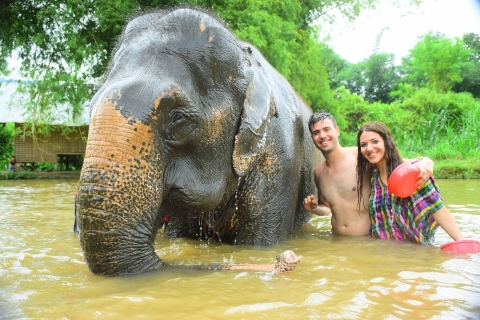 Chiang Mai: Expérience privée de soins aux éléphants pour les couples