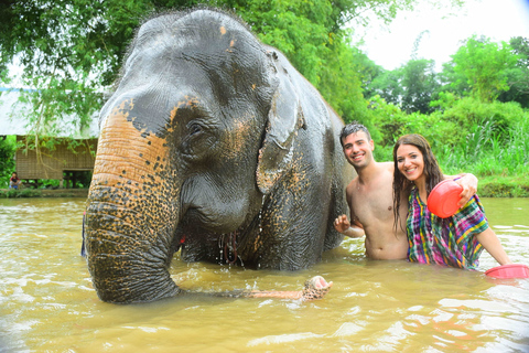 Chiang Mai: experiencia privada de cuidado de elefantes para parejas