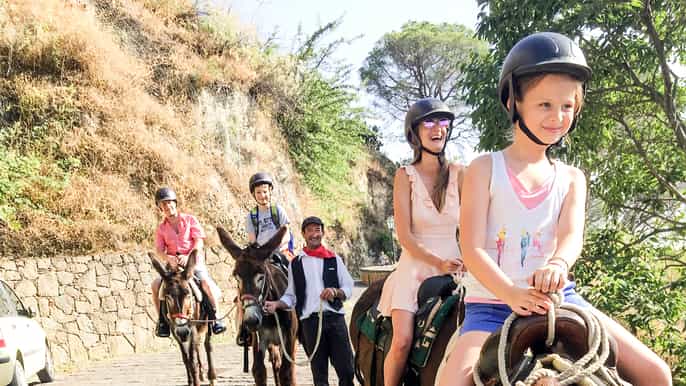 savoca halfday donkey riding and godfather tour