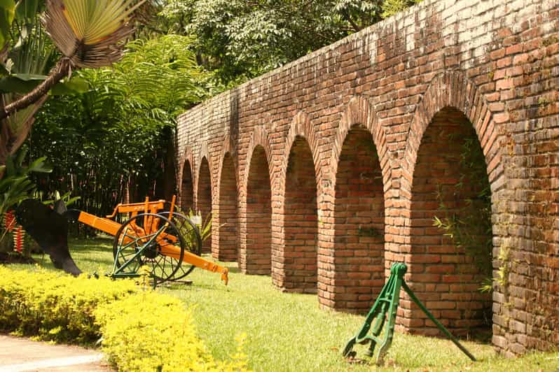 Sugar Cane Museum and Hacienda Paraíso Day Tour GetYourGuide