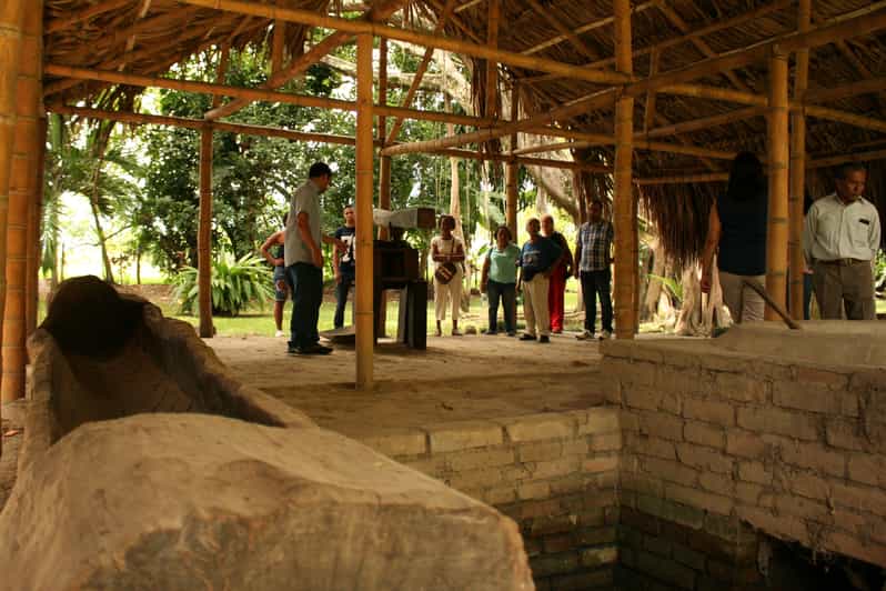 Sugar Cane Museum and Hacienda Paraíso Day Tour GetYourGuide